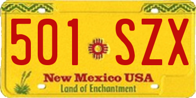 NM license plate 501SZX