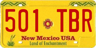 NM license plate 501TBR