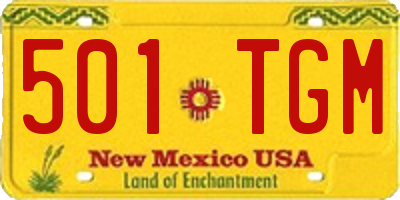 NM license plate 501TGM