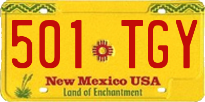 NM license plate 501TGY