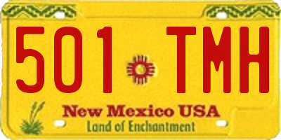 NM license plate 501TMH