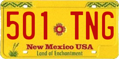 NM license plate 501TNG