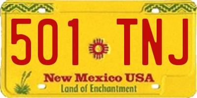 NM license plate 501TNJ