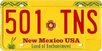 NM license plate 501TNS