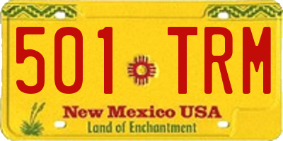 NM license plate 501TRM