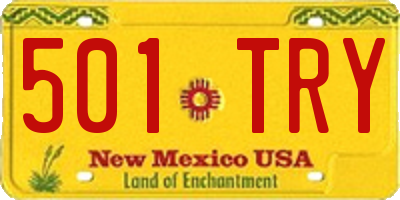 NM license plate 501TRY
