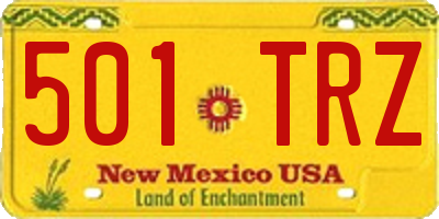 NM license plate 501TRZ