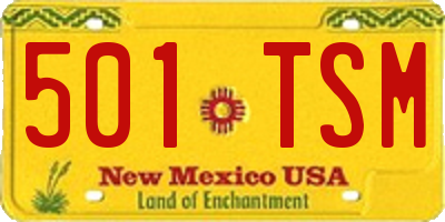NM license plate 501TSM