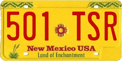 NM license plate 501TSR
