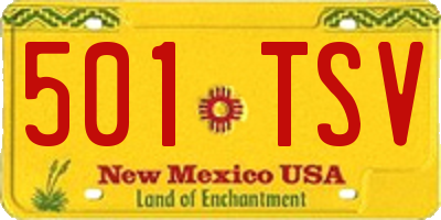 NM license plate 501TSV