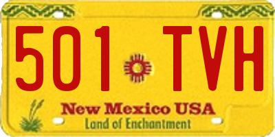 NM license plate 501TVH
