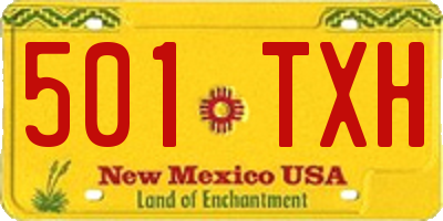 NM license plate 501TXH