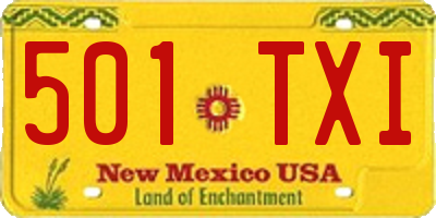 NM license plate 501TXI
