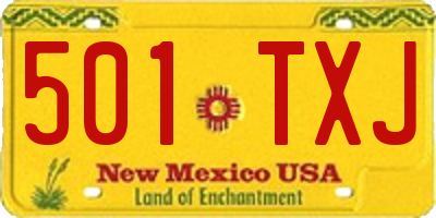 NM license plate 501TXJ