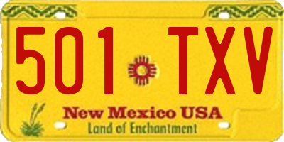 NM license plate 501TXV