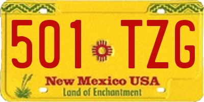 NM license plate 501TZG
