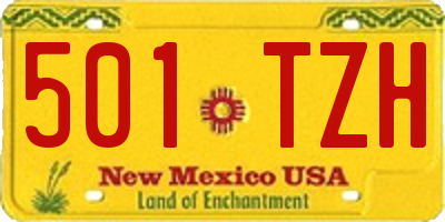 NM license plate 501TZH