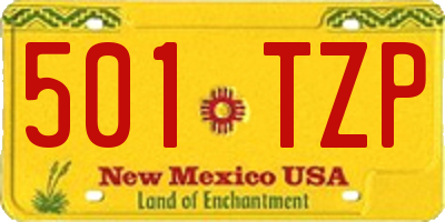 NM license plate 501TZP