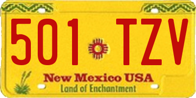 NM license plate 501TZV