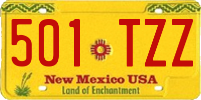 NM license plate 501TZZ