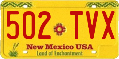 NM license plate 502TVX