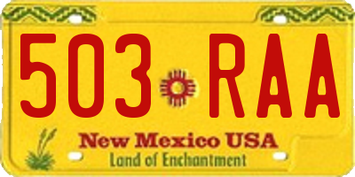 NM license plate 503RAA