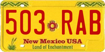 NM license plate 503RAB