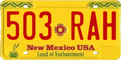 NM license plate 503RAH