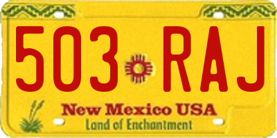 NM license plate 503RAJ