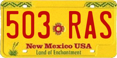 NM license plate 503RAS