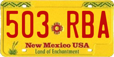 NM license plate 503RBA