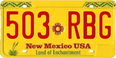 NM license plate 503RBG
