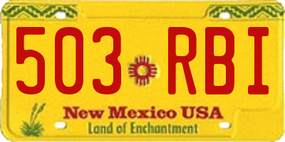 NM license plate 503RBI