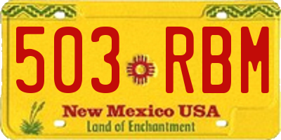 NM license plate 503RBM