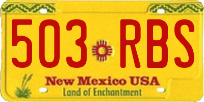 NM license plate 503RBS