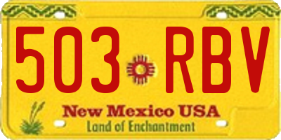 NM license plate 503RBV