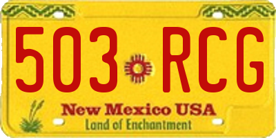 NM license plate 503RCG