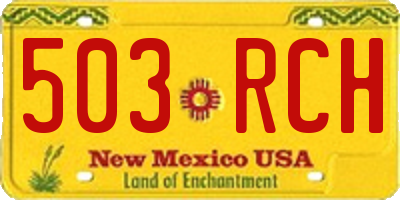NM license plate 503RCH