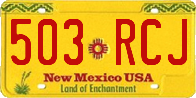 NM license plate 503RCJ