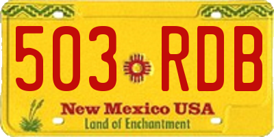 NM license plate 503RDB