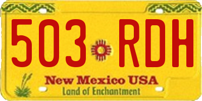 NM license plate 503RDH
