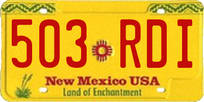 NM license plate 503RDI