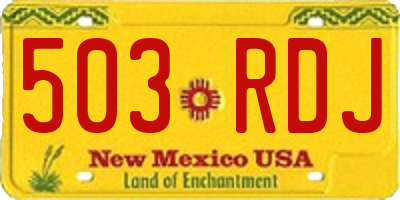 NM license plate 503RDJ