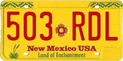 NM license plate 503RDL