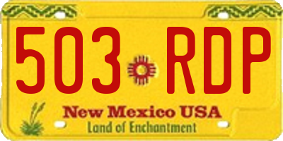 NM license plate 503RDP