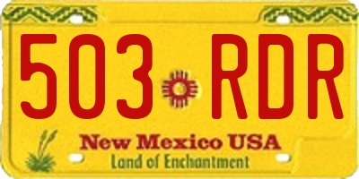 NM license plate 503RDR