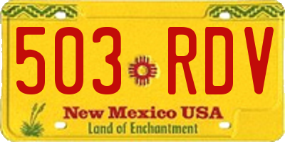 NM license plate 503RDV