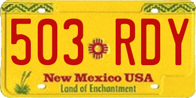 NM license plate 503RDY