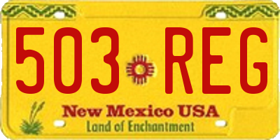 NM license plate 503REG