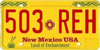 NM license plate 503REH